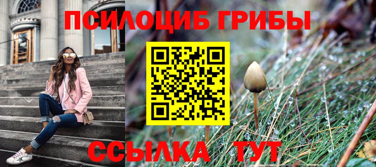Псилоцибиновые грибы мицелий Архангельск